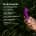 Lelo Gigi 3 Deep Rose