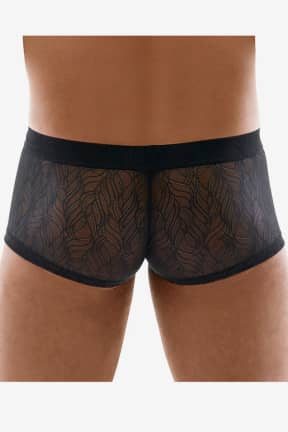 Dessous Svenjoyment Lace Pants For Men Black - Für Ihn
