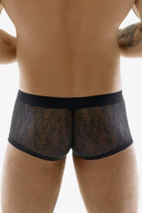 Dessous Svenjoyment Lace Pants For Men Black - Für Ihn