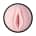 Fleshlight Pink Lady Destroya