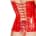 Black Level - Vinyl Corset - Red - M