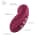 Fun Factory - Desire Air Pulse Vibrator - Wine Red