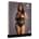 Le Désir Contrast Net Teddy Queen Size