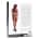 Le Désir - Mollie - PVC Crotchless Panty and Scoop Neck Top - One Size - Black